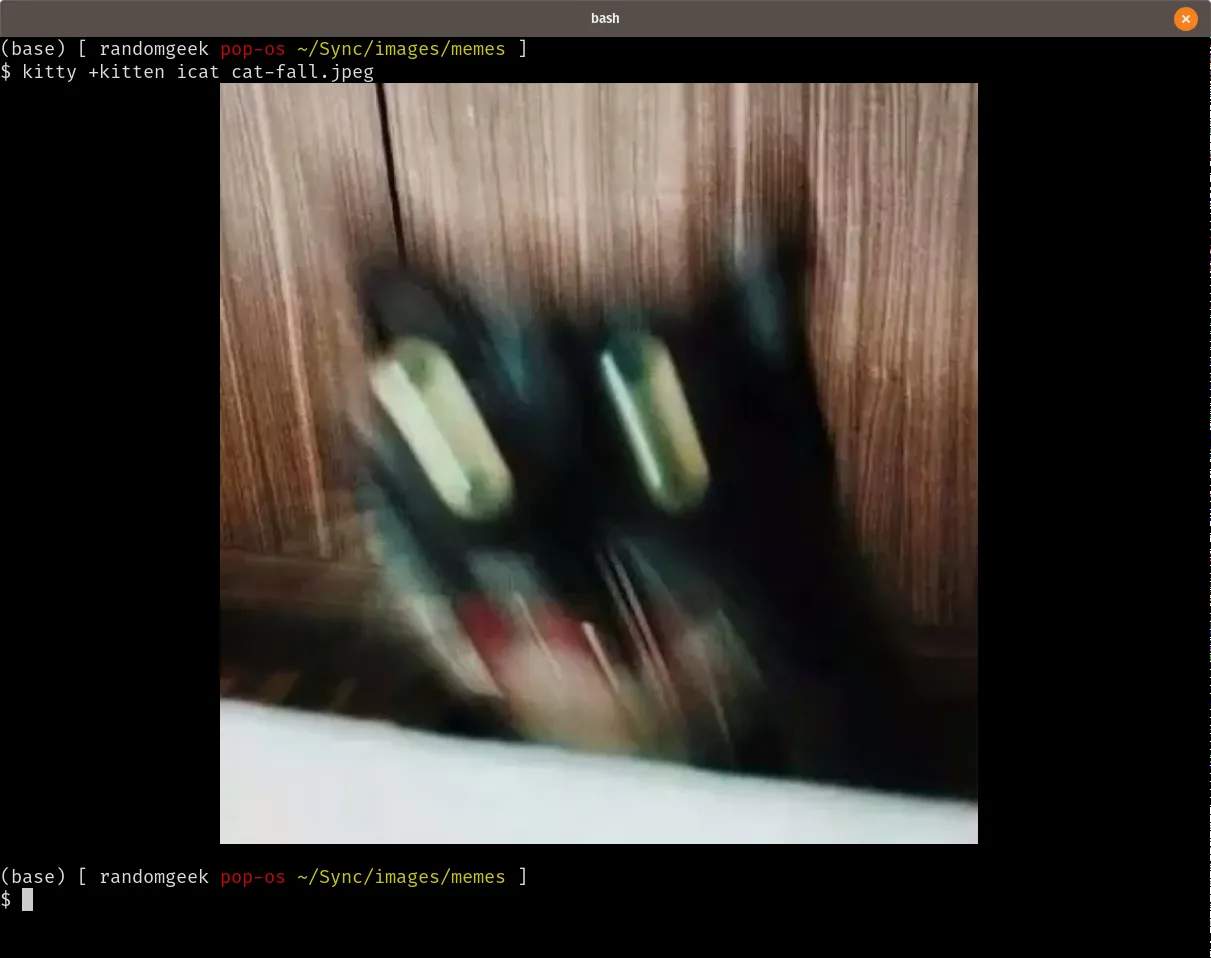 classic cat pics in the terminal!